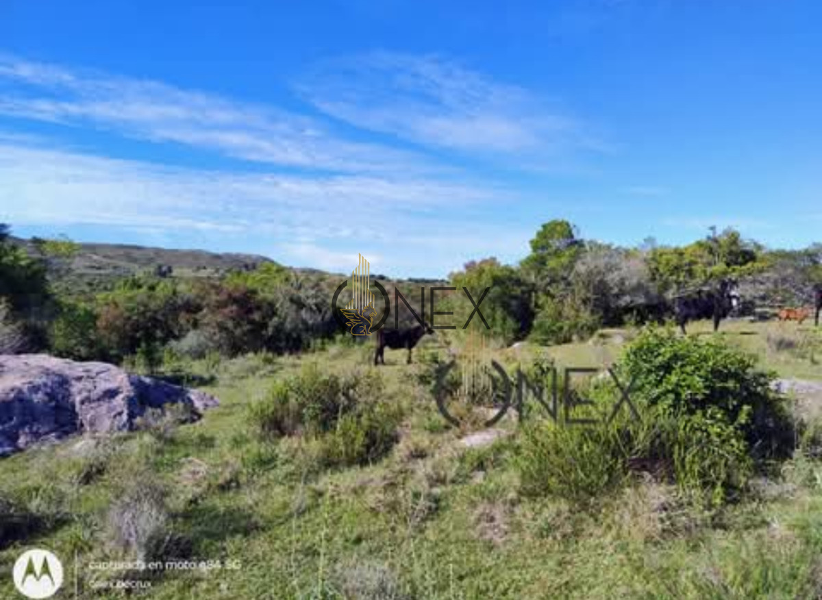 Chacra ID.1155 - Oportunidad Venta de chacra de 7.8 Hectáreas en Las Cañas Maldonado