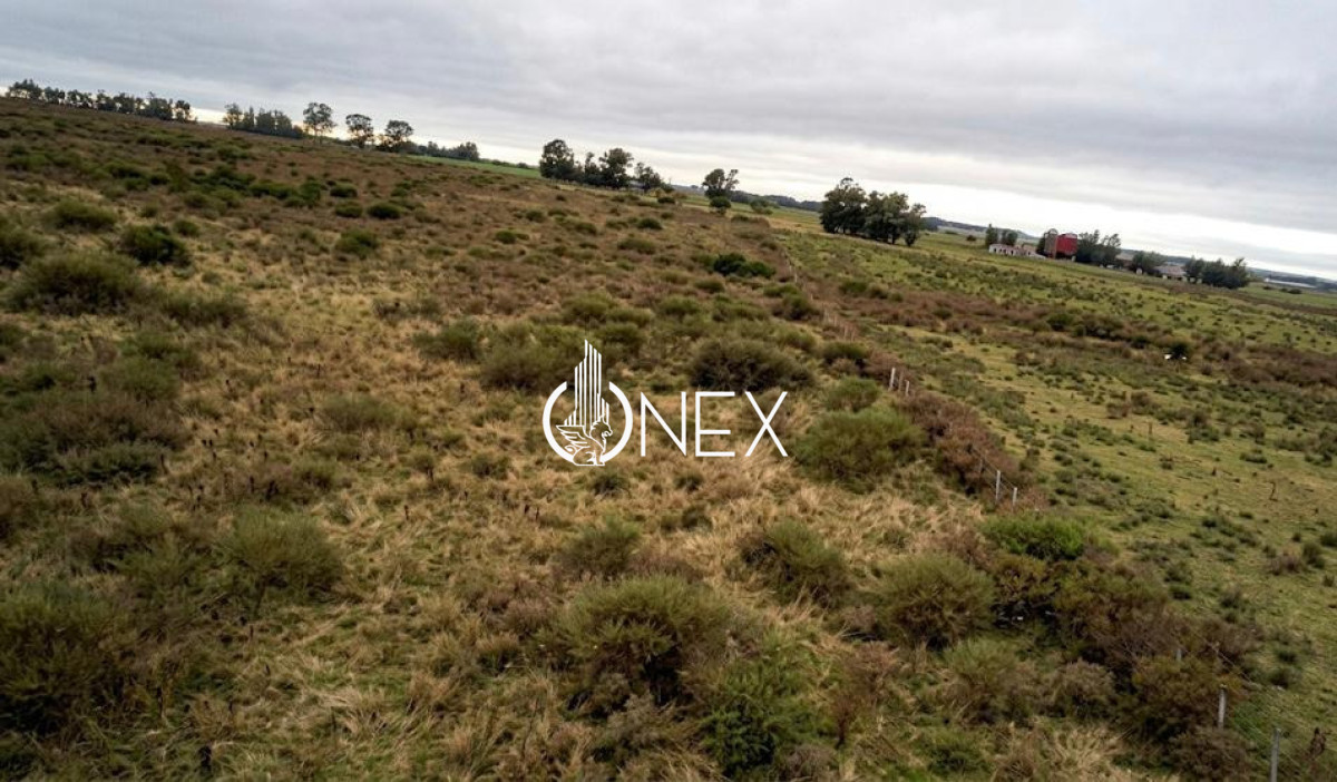 Chacra ID.4592 - Chara 3has en Santa Rosa