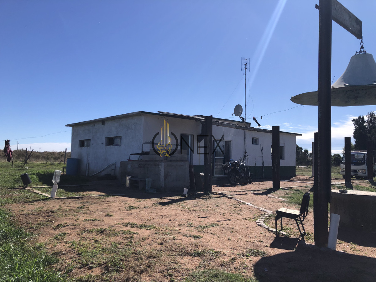 Chacra ID.2140 -  Se vende Chacra de 4ha más casa, sobre ruta 107. Canelón Chico.