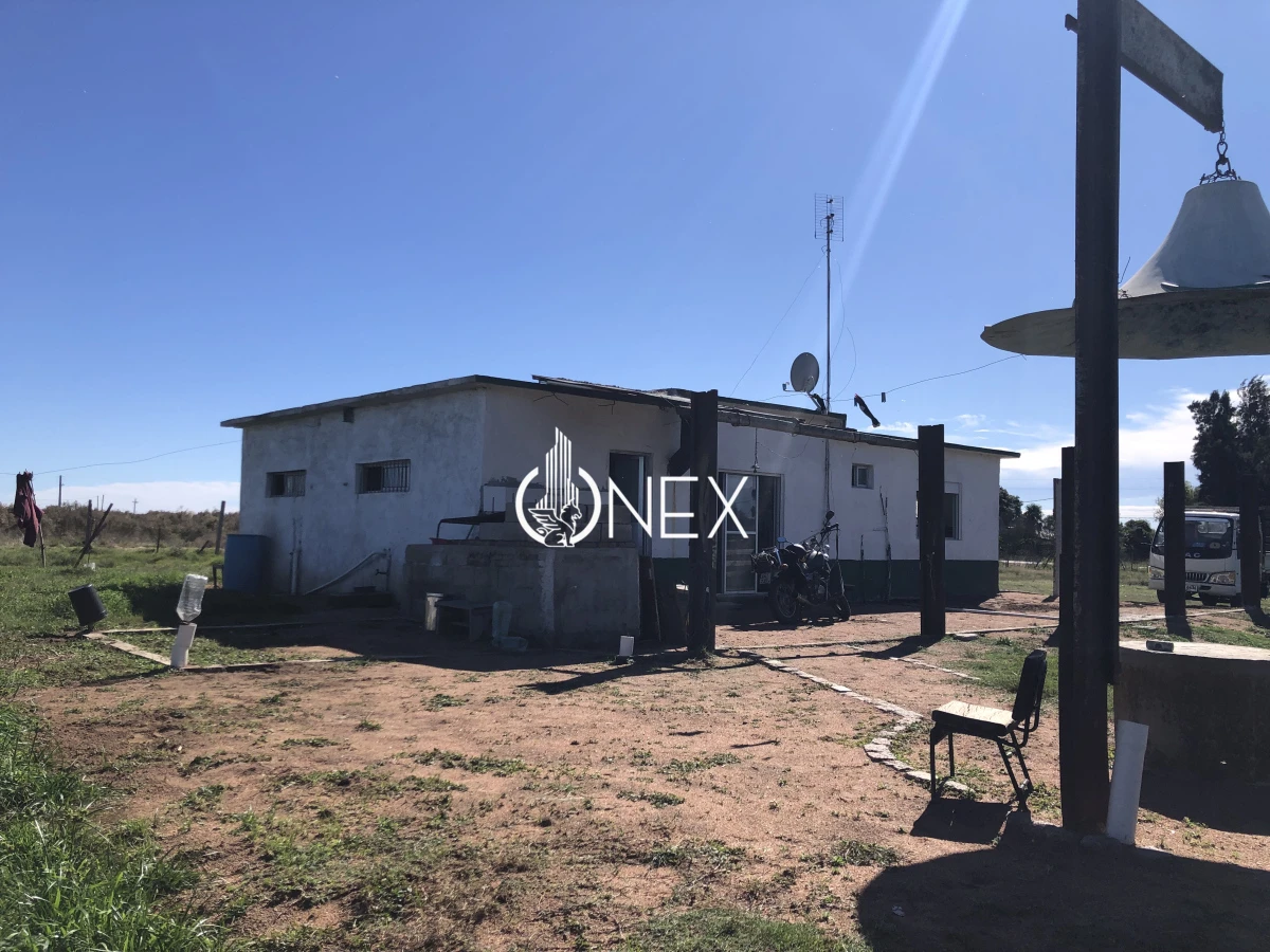 Chacra ID.2140 -  Se vende Chacra de 4ha más casa, sobre ruta 107. Canelón Chico.