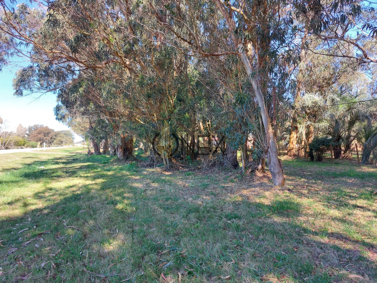 Chacra ID.2952 - VENDO O PERMUTO CHACRA EN LA PALOMA ROCHA
