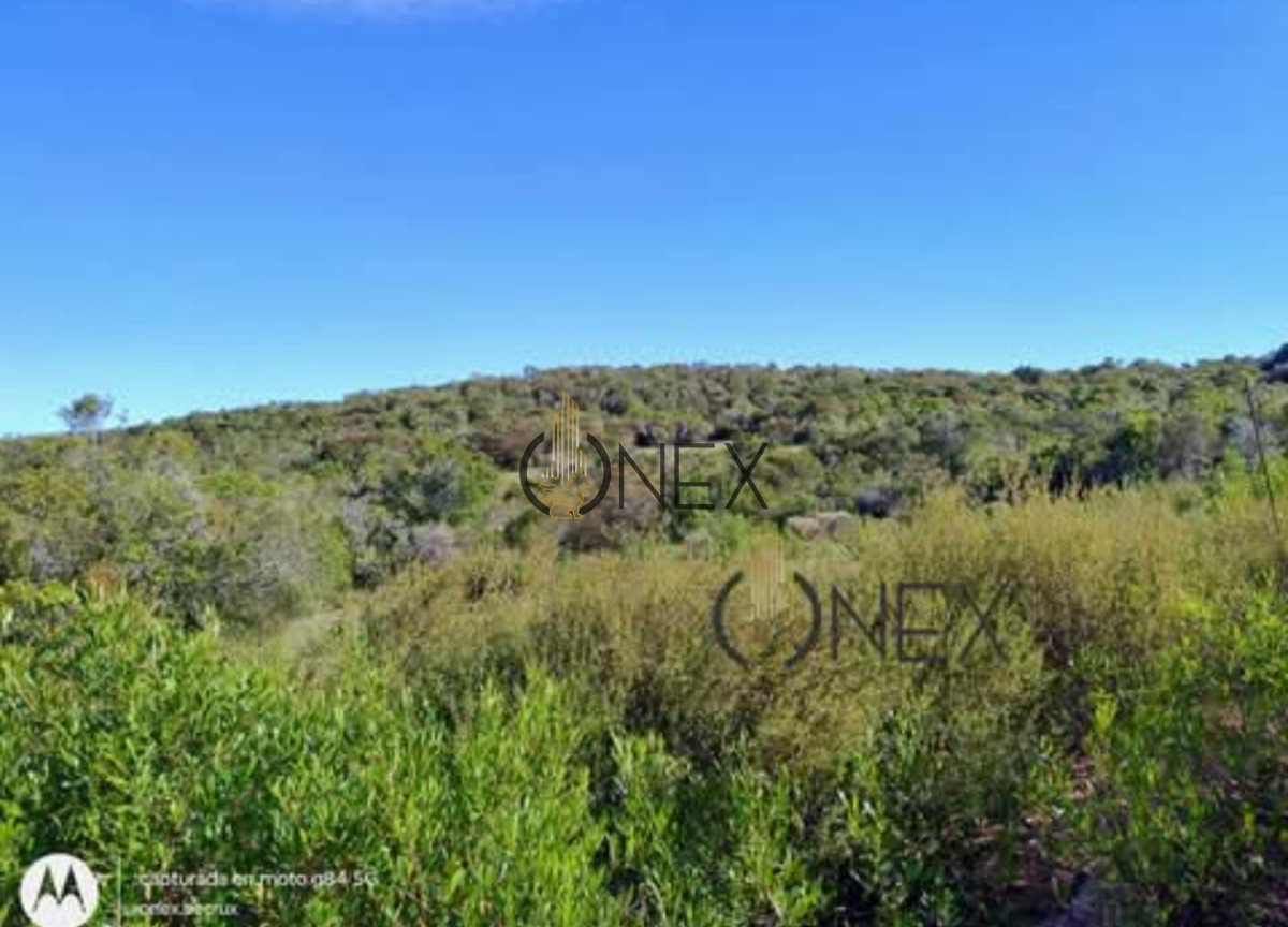Chacra ID.1155 - Oportunidad Venta de chacra de 7.8 Hectáreas en Las Cañas Maldonado