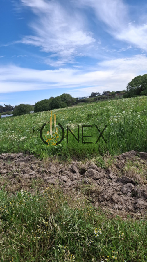 Chacra ID.3385 - Venta chacra 4 hás y ½ entre R 102 y 101