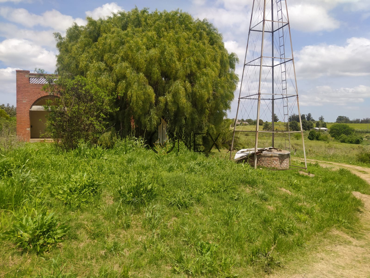 Chacra ID.1843 - se vende Chacra en Paso de la Arena, Montevideo