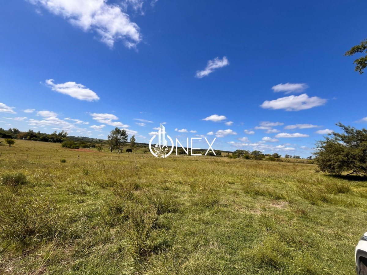 Chacra ID.4362 - 