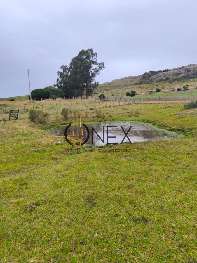Chacra ID.3724 - Venta de Chacra 6 Ha con casa comoda