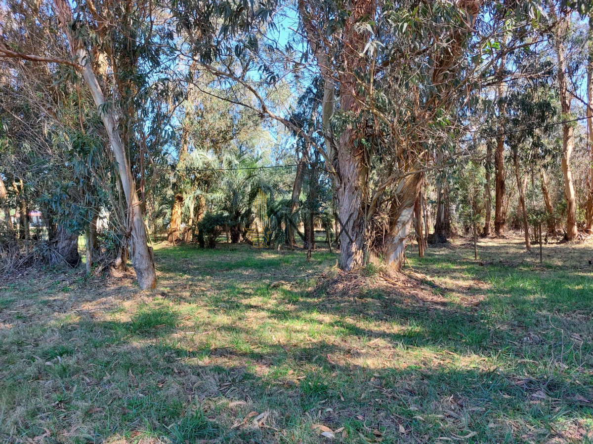 Chacra ID.2952 - VENDO O PERMUTO CHACRA EN LA PALOMA ROCHA