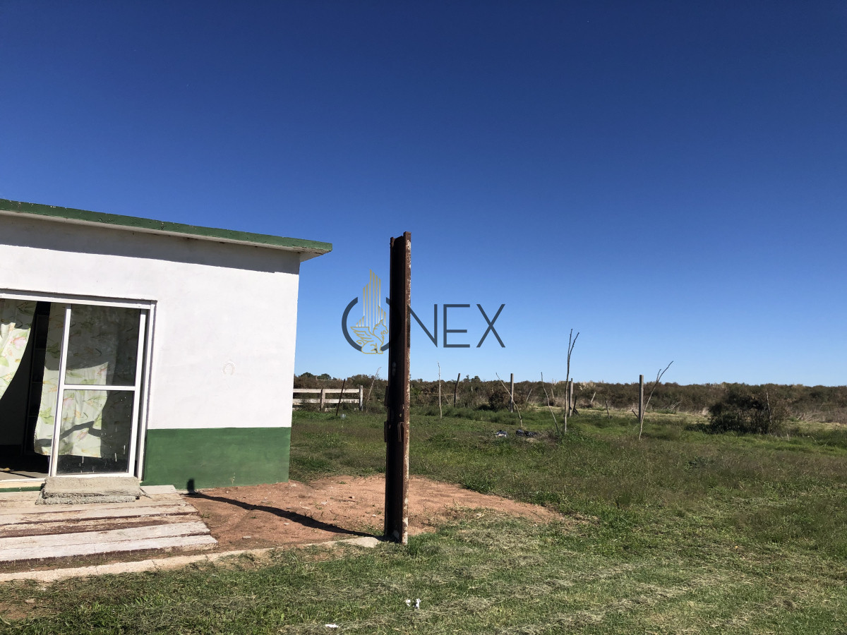 Chacra ID.2140 -  Se vende Chacra de 4ha más casa, sobre ruta 107. Canelón Chico.
