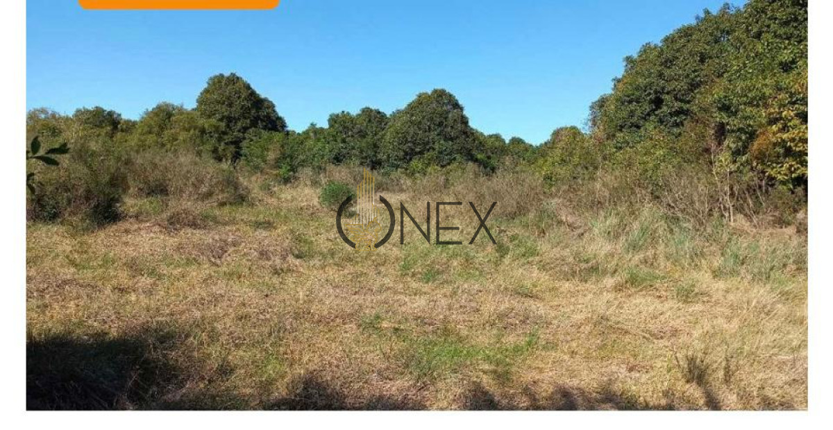 Chacra ID.2323 - Venta de Chacra en Cañada Bellacas