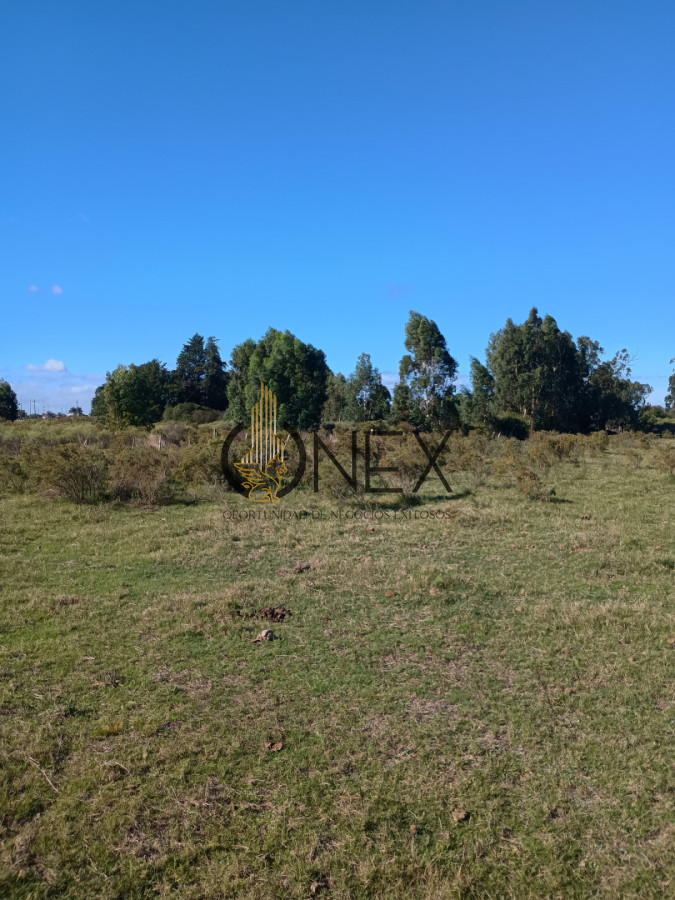 Chacra ID.4292 - Se vende chacra en Rocha.