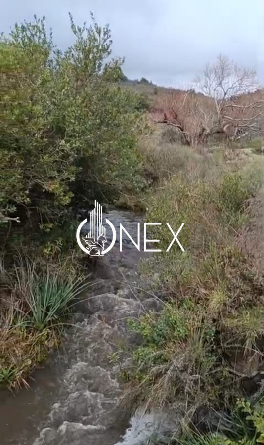 Chacra ID.4550 - SE VENDE CHACRA DE 5 HA EN LAVALLEJA