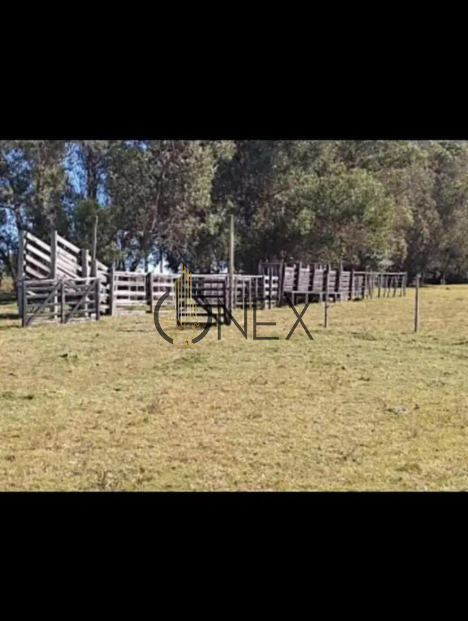 Chacra ID.2493 - Venta de Chacra de 8 Ha con casa 