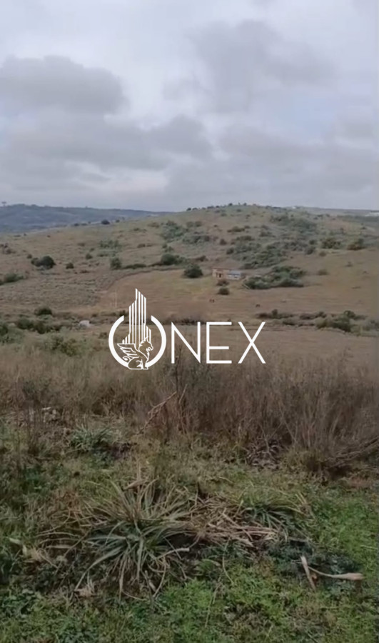 Chacra ID.4550 - SE VENDE CHACRA DE 5 HA EN LAVALLEJA