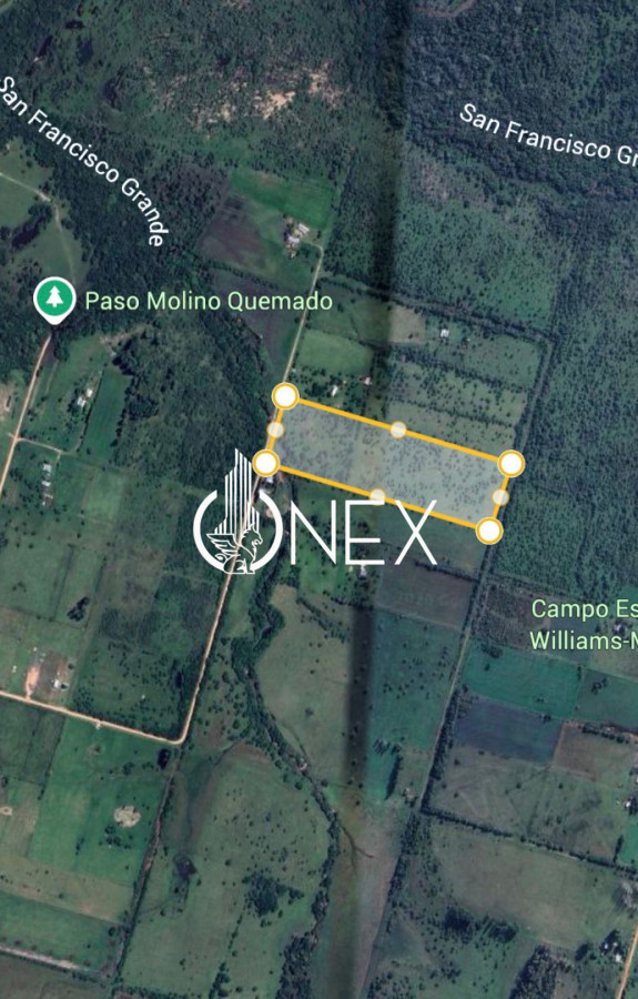 Chacra ID.4581 - Chacra de 6 Hectáreas a Minutos de Paysandú | Naturaleza, Tranquilidad e Inversión