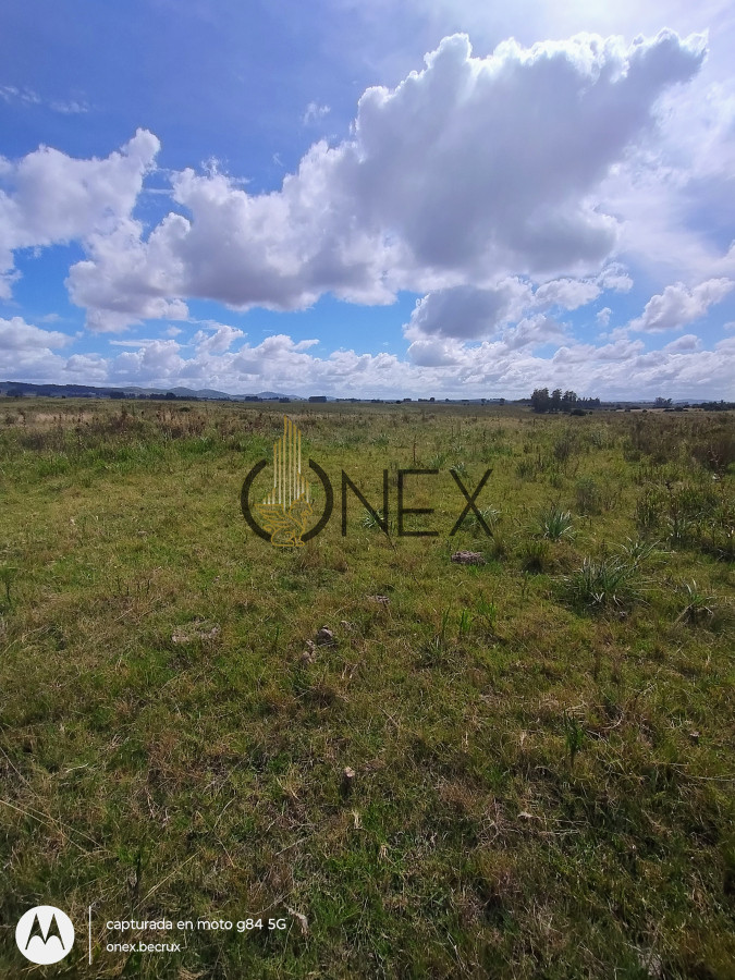 Chacra ID.790 - Venta de Chacra 7 hectáreas con casa en Maldonado