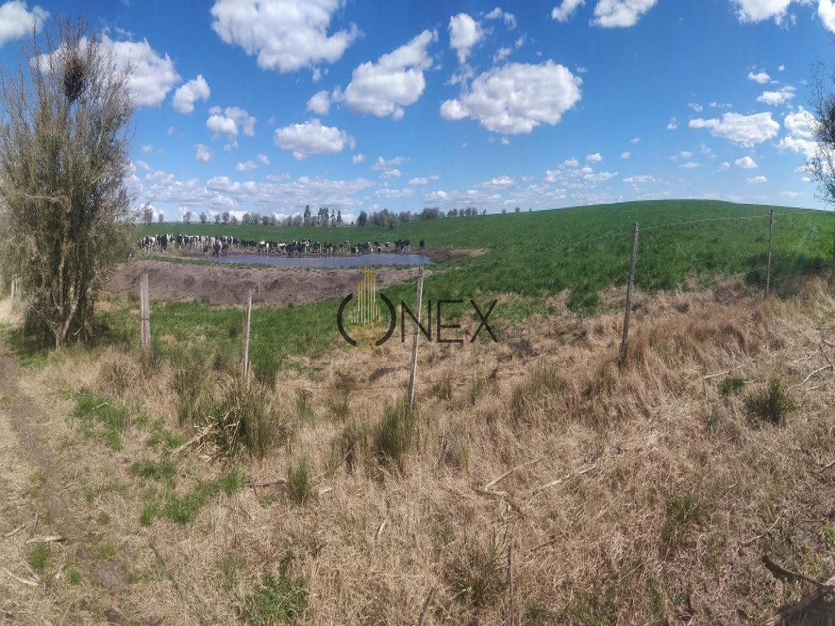 Chacra ID.567 - VENDO CAMPO 150 HECTÁREAS EN LA CIUDAD DE FLORIDA