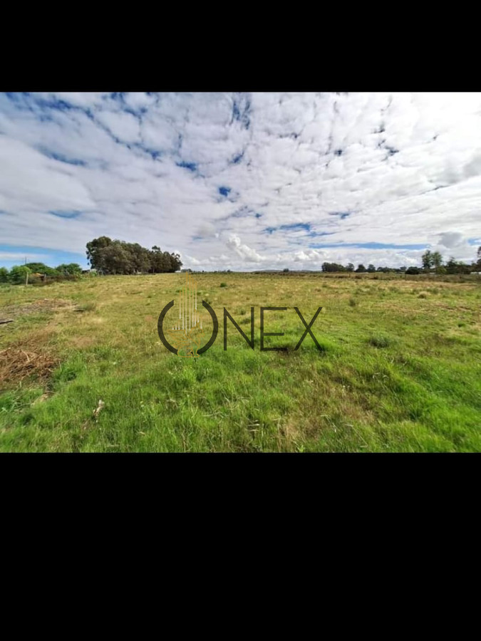 Chacra ID.2493 - Venta de Chacra de 8 Ha con casa 