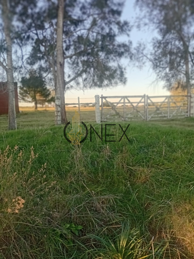 Chacra ID.2593 - Venta de Chacra de 7 Ha en Zanja de Chavez, Maldonado