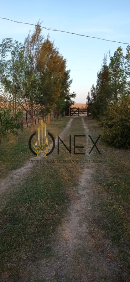 Chacra ID.3130 - Oportunidad venta de Chacra con casa tajamar árboles  galpón en Canelones 