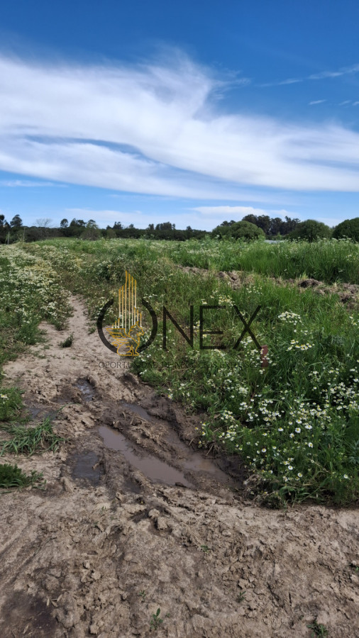 Chacra ID.3385 - Venta chacra 4 hás y ½ entre R 102 y 101