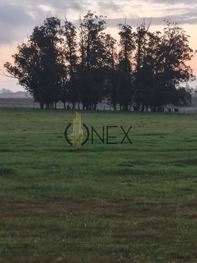 Chacra ID.3072 - Venta de Chacra de 5 Ha en Jose Ignacio