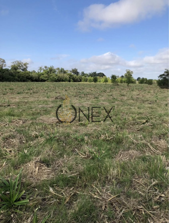Chacra ID.3091 - 🌿 En venta: Hermosa chacra en Rocha 🌿  Se venden casi 7 hectáreas con 320 metros de costa sobre el Arroyo Las Conchas, en un entorno natural único. 