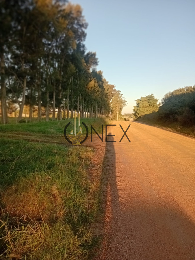 Chacra ID.2593 - Venta de Chacra de 7 Ha en Zanja de Chavez, Maldonado
