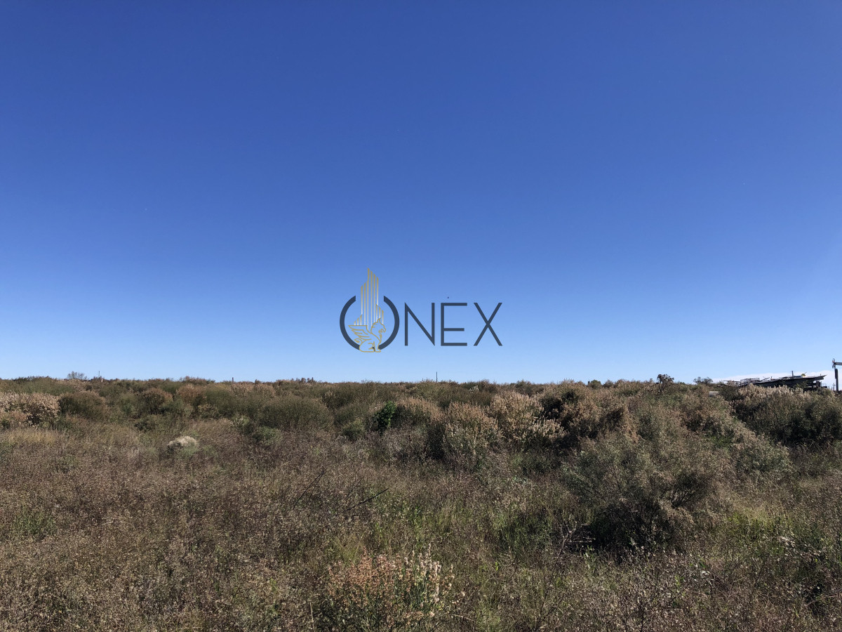 Chacra ID.2140 -  Se vende Chacra de 4ha más casa, sobre ruta 107. Canelón Chico.
