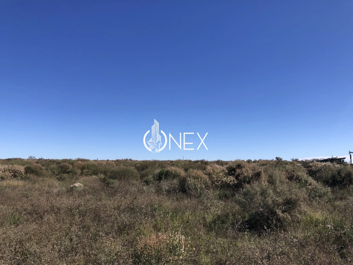 Chacra ID.2140 -  Se vende Chacra de 4ha más casa, sobre ruta 107. Canelón Chico.