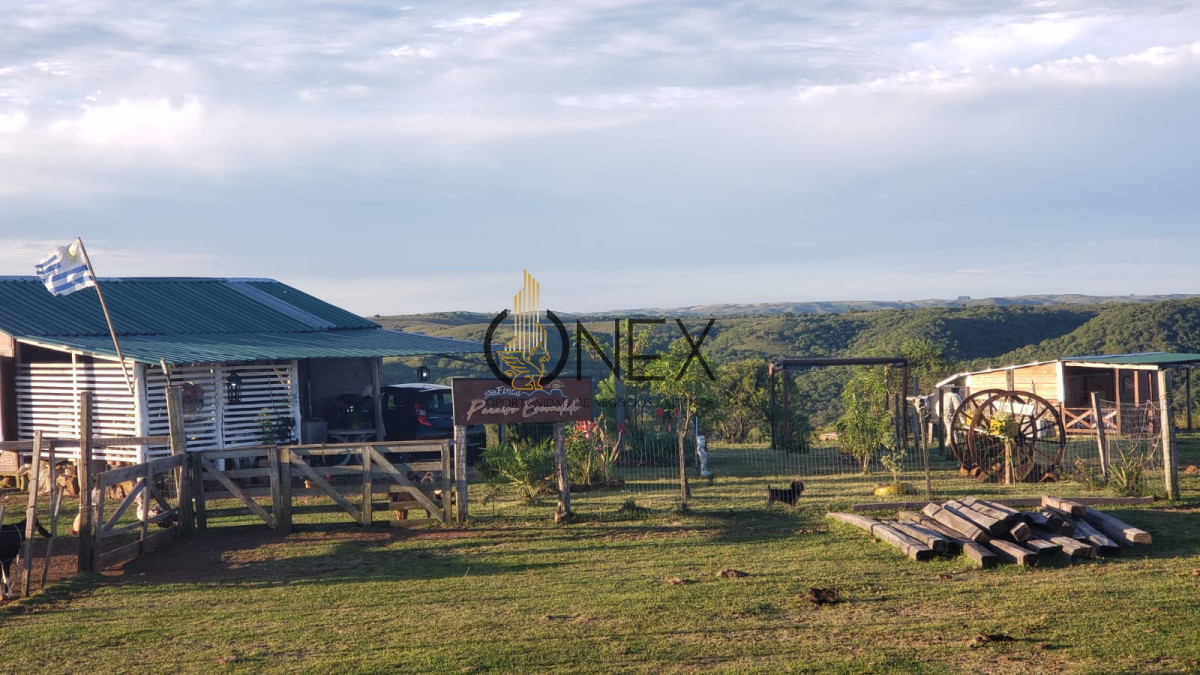 Chacra ID.3118 - Se vende chacra 8 ha en cuchilla casa de piedra Tacuarembó 