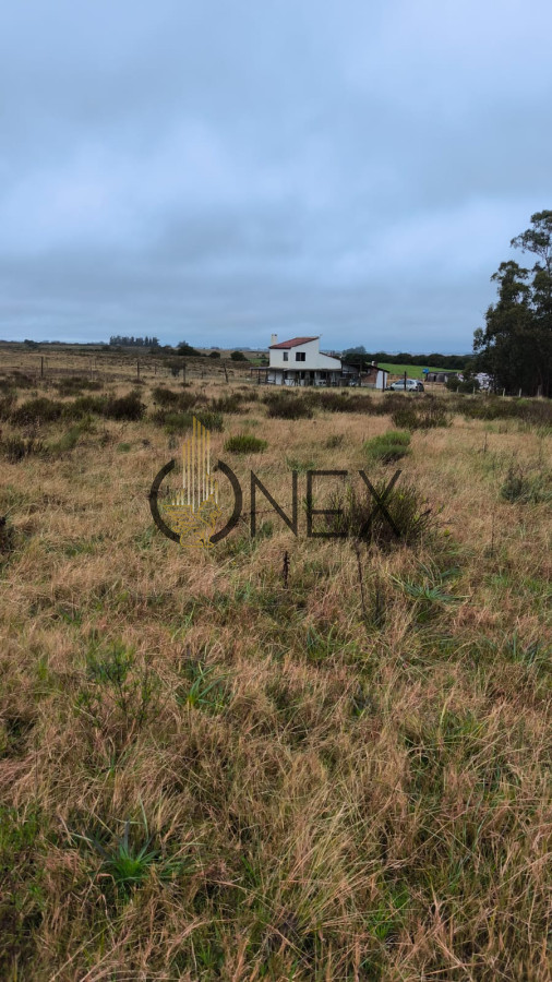 Chacra ID.3080 - Venta Chacra 3 Ha Corte de la Leña con casa 
