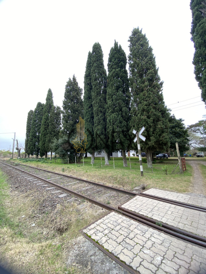 Chacra ID.2715 - CHACRA EN VENTA SOBRE RUTA 90 PAYSANDU