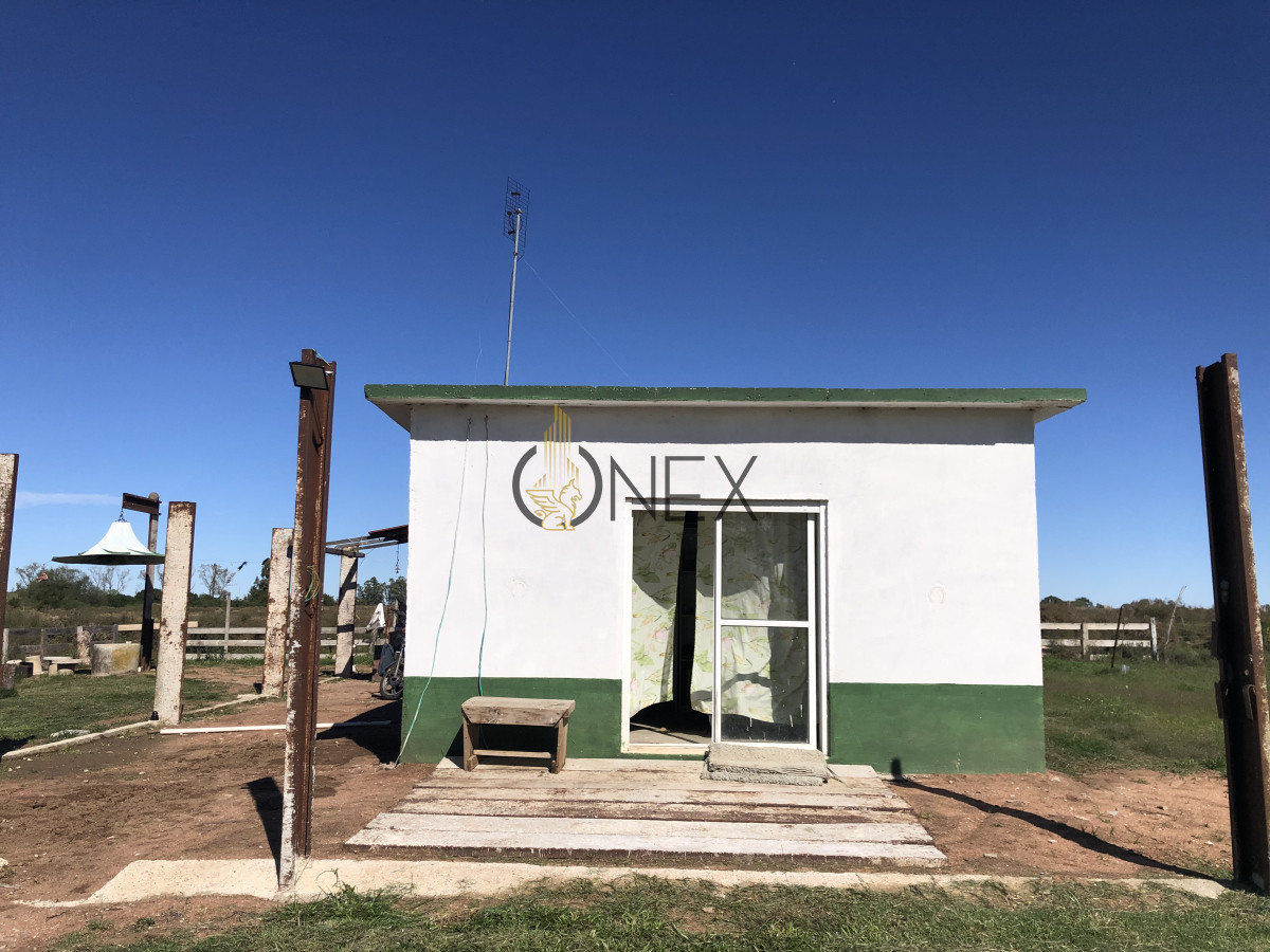 Chacra ID.2140 -  Se vende Chacra de 4ha más casa, sobre ruta 107. Canelón Chico.
