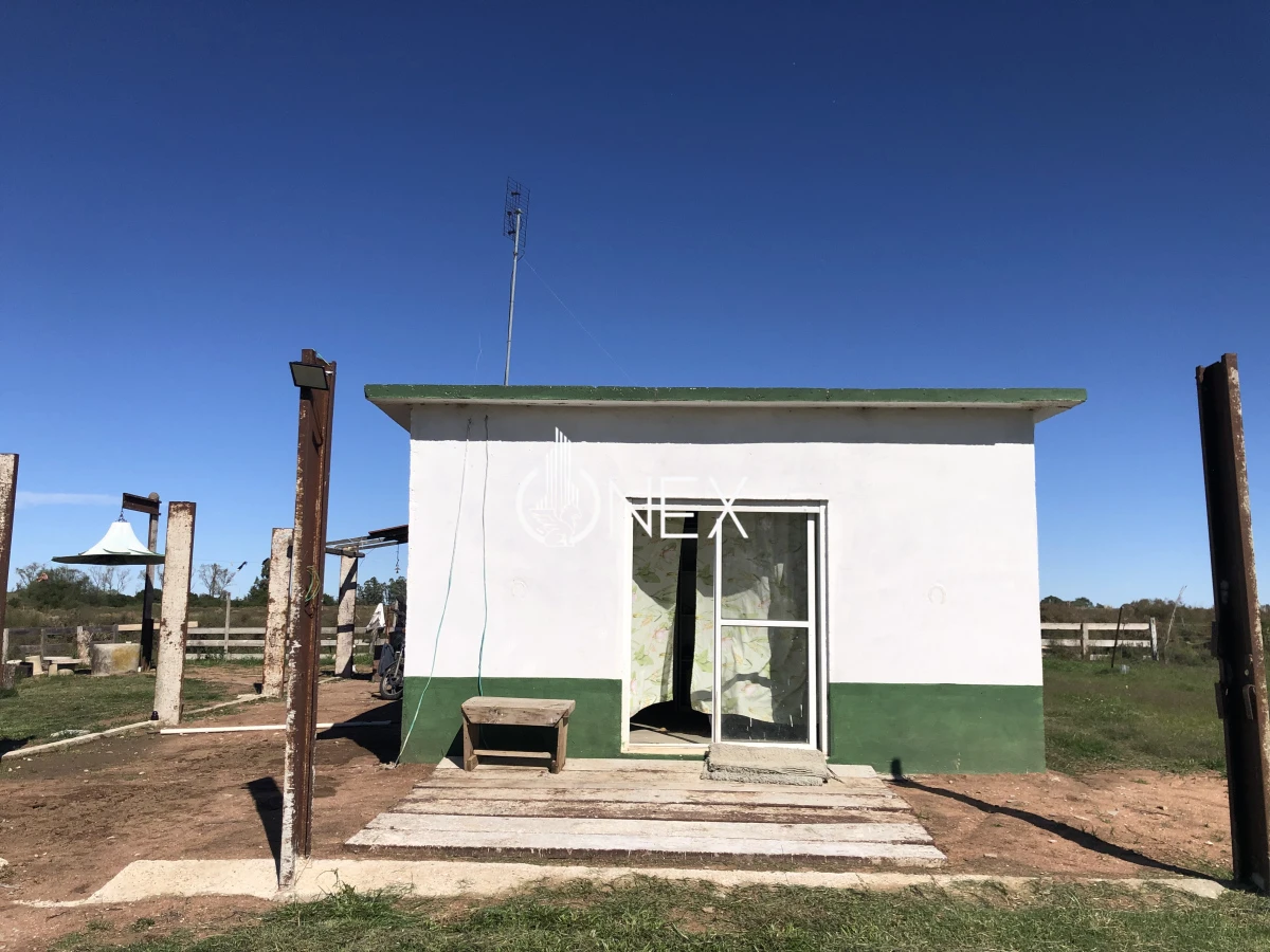 Chacra ID.2140 -  Se vende Chacra de 4ha más casa, sobre ruta 107. Canelón Chico.