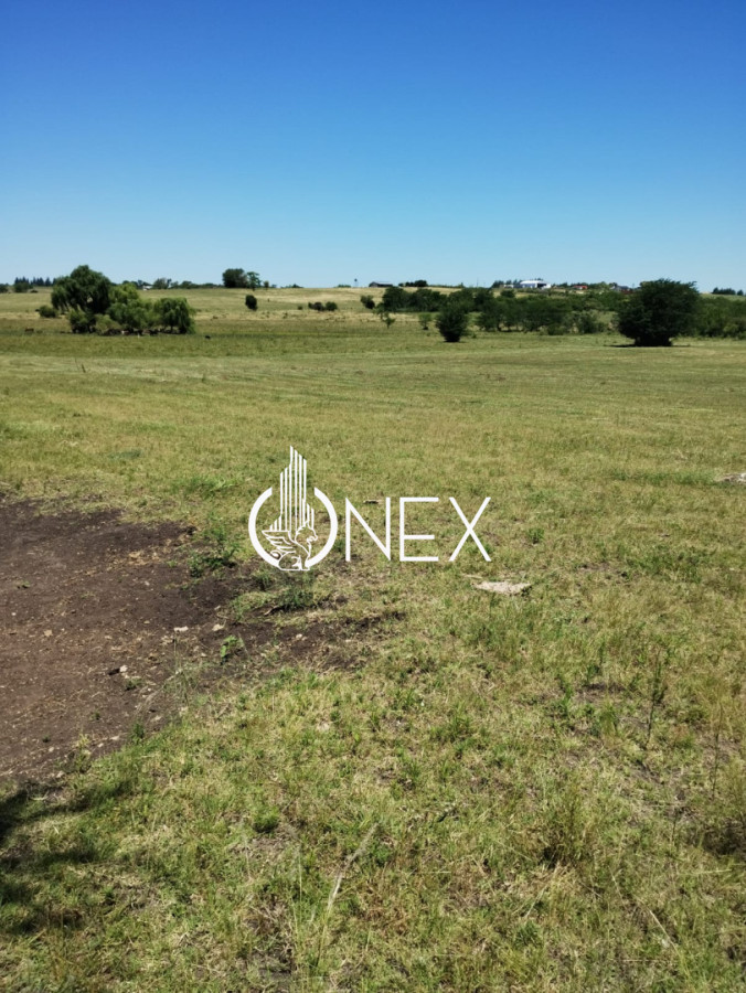 Chacra ID.4380 - 