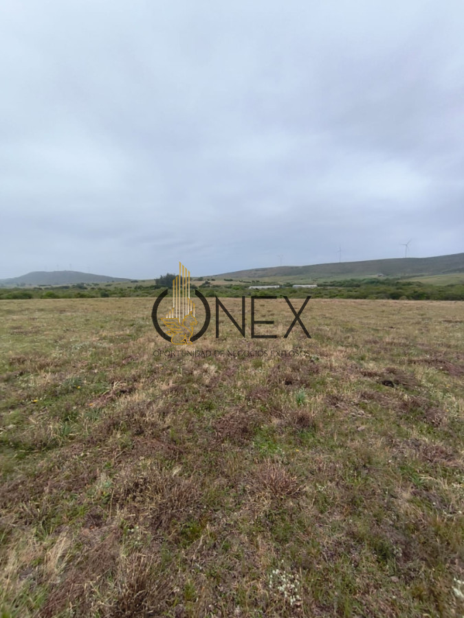 Chacra ID.3724 - Venta de Chacra 6 Ha con casa comoda