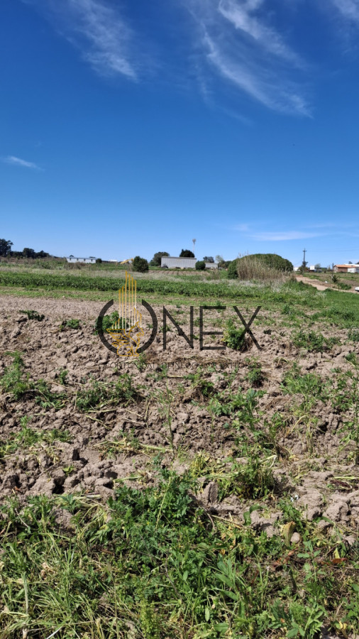 Chacra ID.3385 - Venta chacra 4 hás y ½ entre R 102 y 101