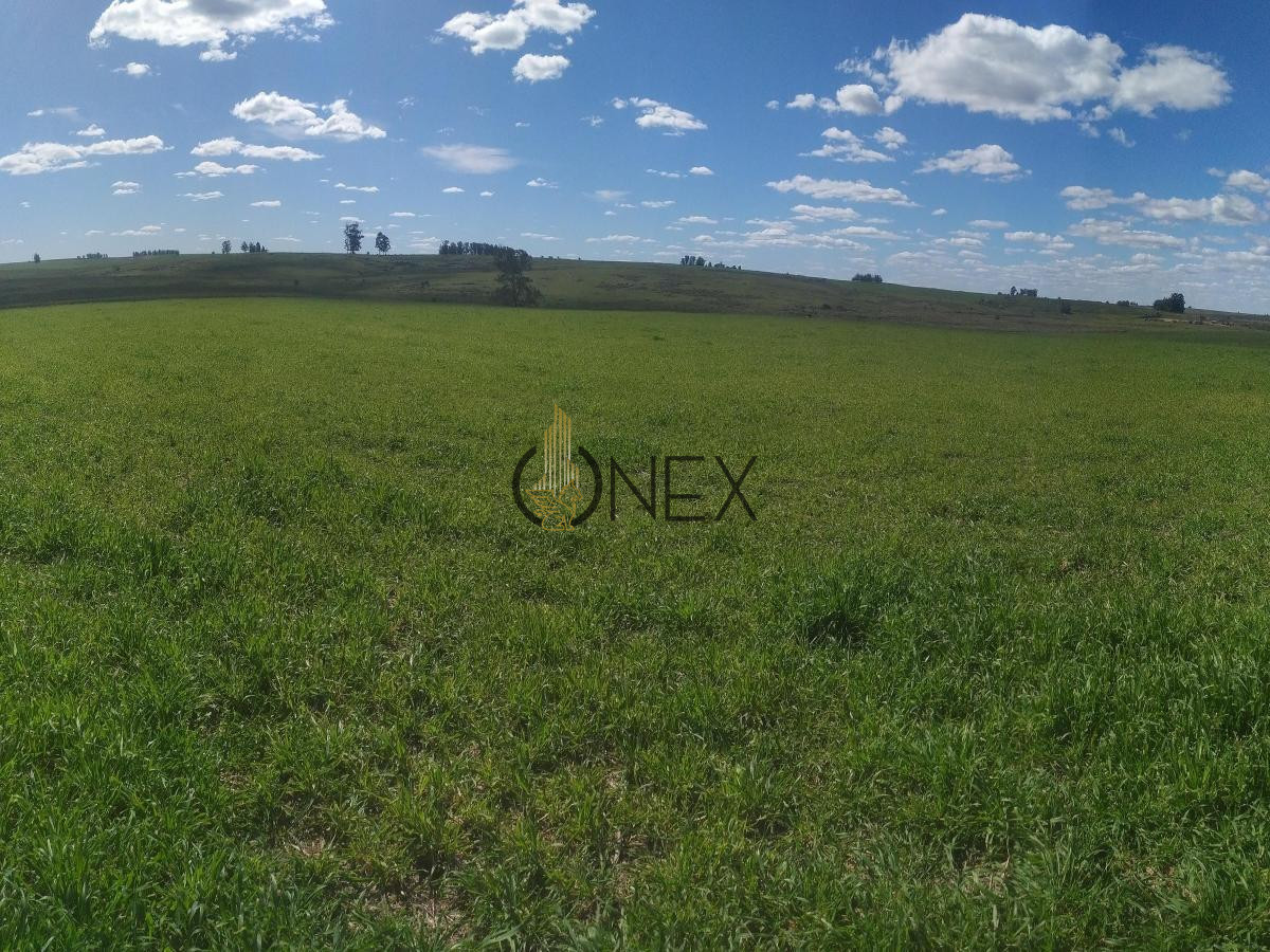Chacra ID.567 - VENDO CAMPO 150 HECTÁREAS EN LA CIUDAD DE FLORIDA