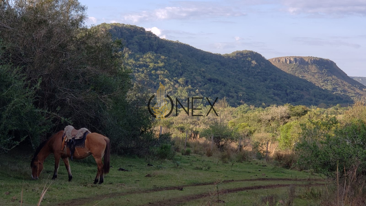 Chacra ID.3118 - Se vende chacra 8 ha en cuchilla casa de piedra Tacuarembó 