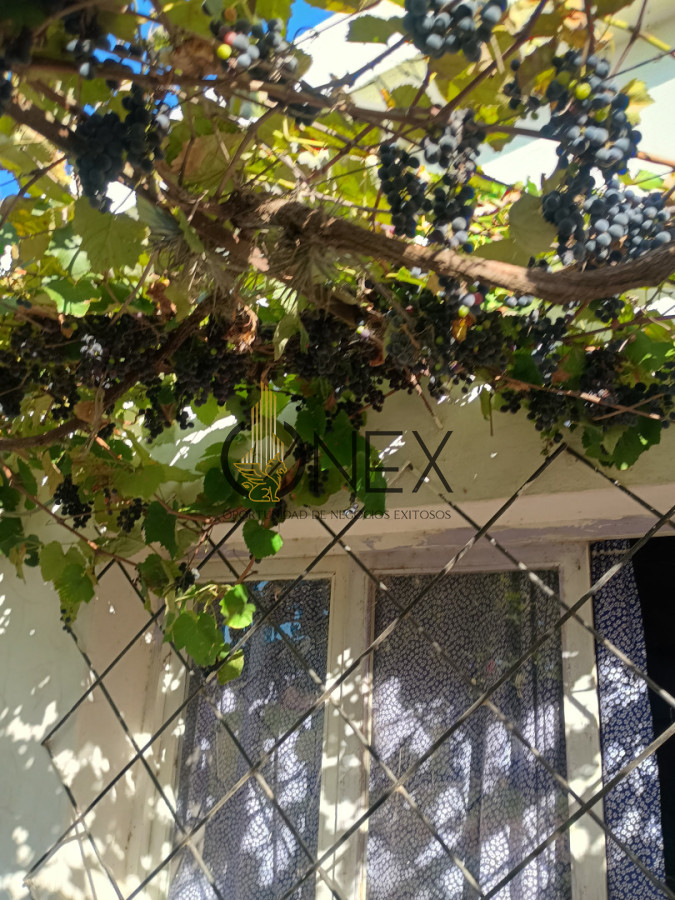 Chacra ID.4292 - Se vende chacra en Rocha.