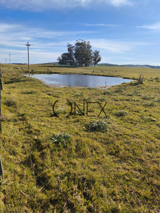 Chacra ID.2346 - Hermosa Chacra de 5 Ha en Zanja de Chavez a 15 km de San Carlos