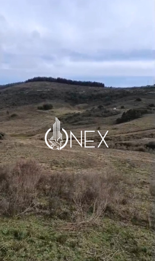 Chacra ID.4550 - SE VENDE CHACRA DE 5 HA EN LAVALLEJA
