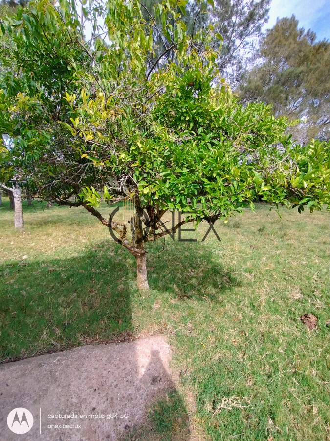 Chacra ID.790 - Venta de Chacra 7 hectáreas con casa en Maldonado