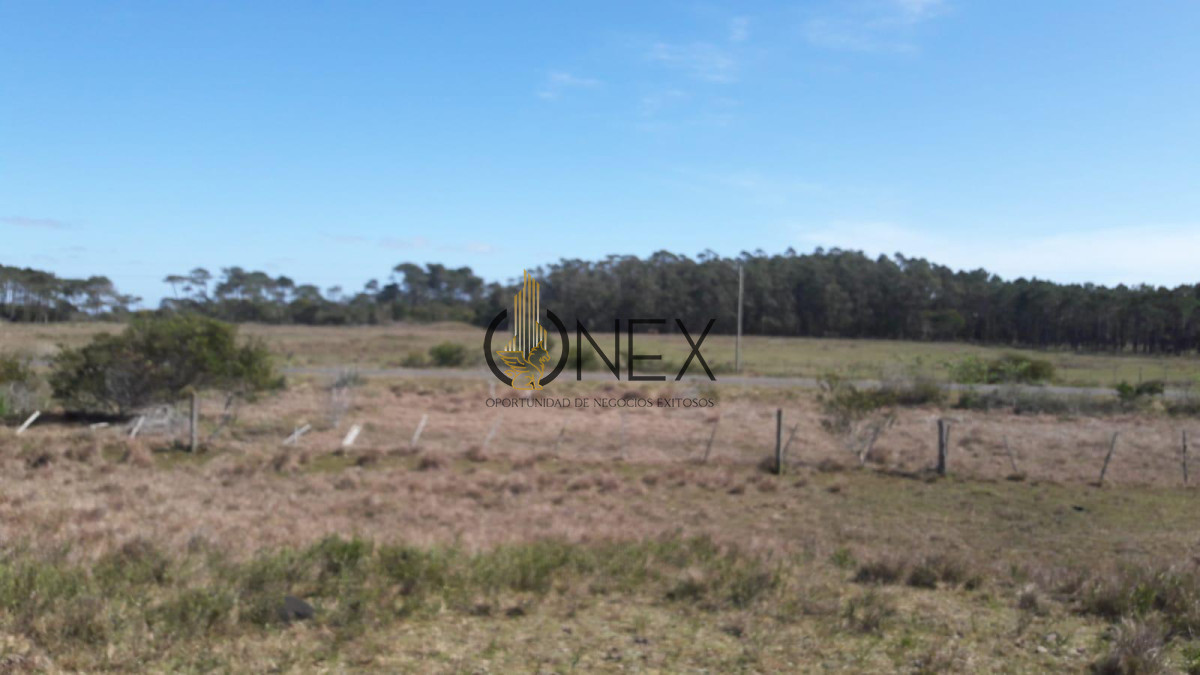 Chacra ID.3679 - Venta 10 has Barra Valizas a 500 del mar 