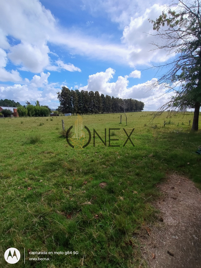 Chacra ID.790 - Venta de Chacra 7 hectáreas con casa en Maldonado