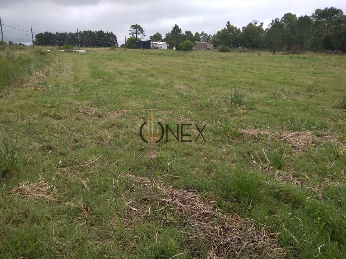 Chacra ID.2126 - Campo 3 ha y 1/2 con galpon