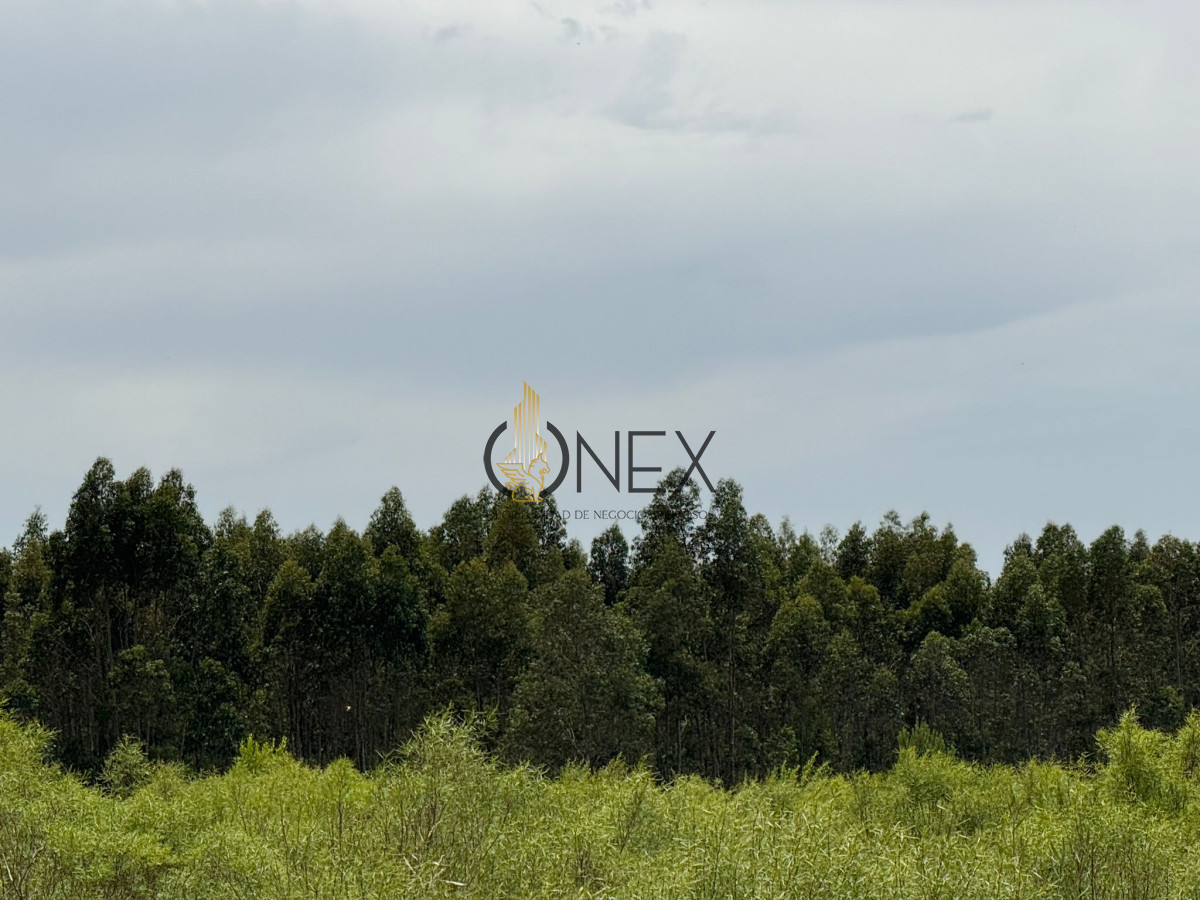 Chacra ID.3592 - Chacra en Salinas, Canelones. 