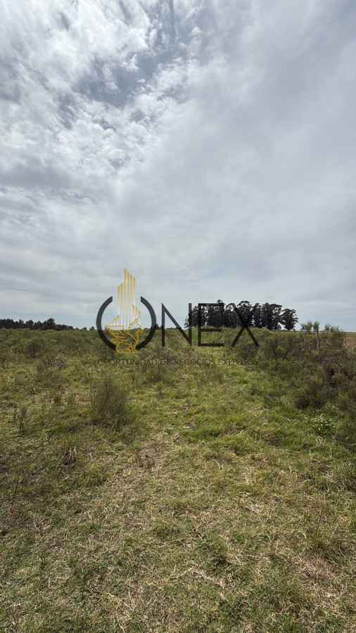 Chacra ID.3592 - Chacra en Salinas, Canelones. 