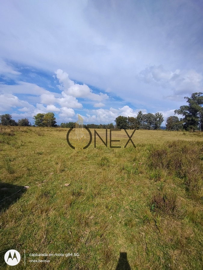 Chacra ID.790 - Venta de Chacra 7 hectáreas con casa en Maldonado