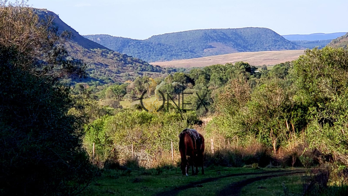 Chacra ID.3118 - Se vende chacra 8 ha en cuchilla casa de piedra Tacuarembó 